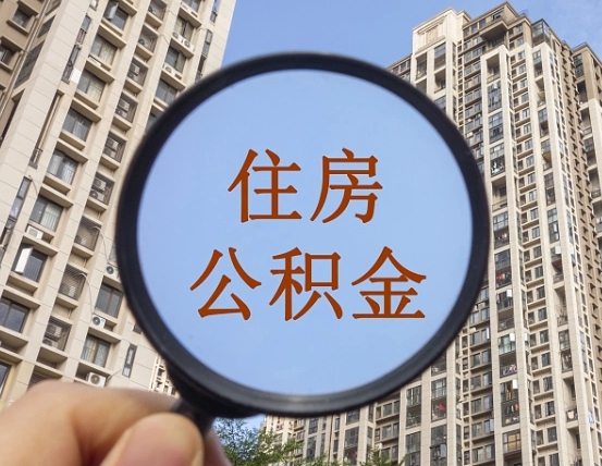 高平退休后查不到公积金明细了吗（退休后公积金查询不到原因）